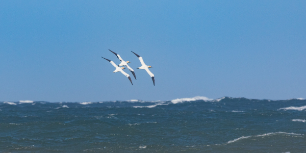 20190502-_L6A6755
