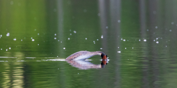 20190503-662A7919