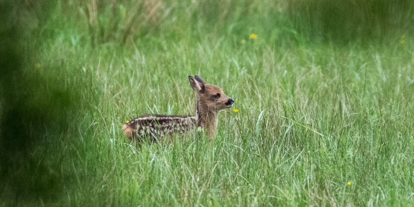 20190525-662A9463