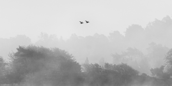 20240512-_62A7513-Edit