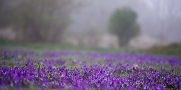 1_20190501-662A4724