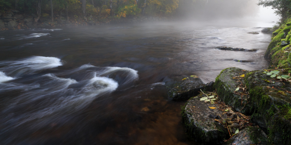 20141003-_MG_7599