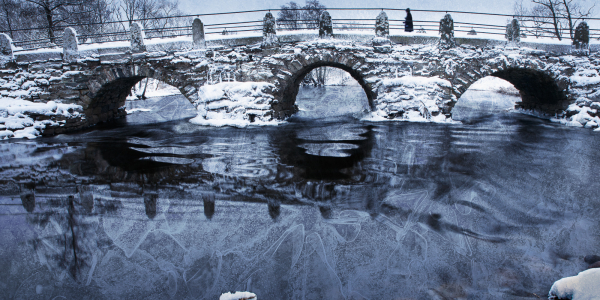 20150208-Rolsfbron1