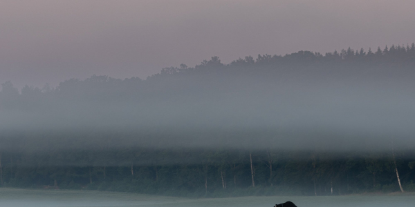 20190718-662A3704