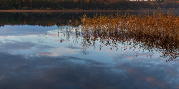 20191018-_MG_0828