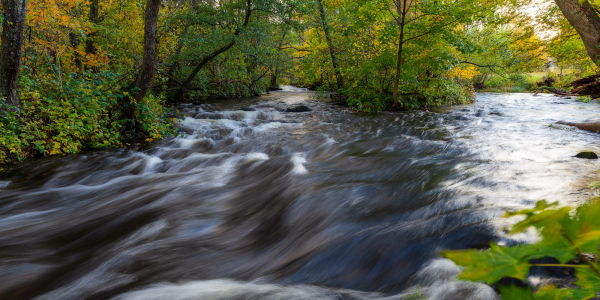 20201024-_MG_6043-Edit