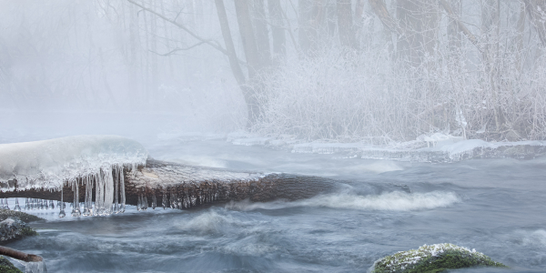20210214-_62A5091-Edit