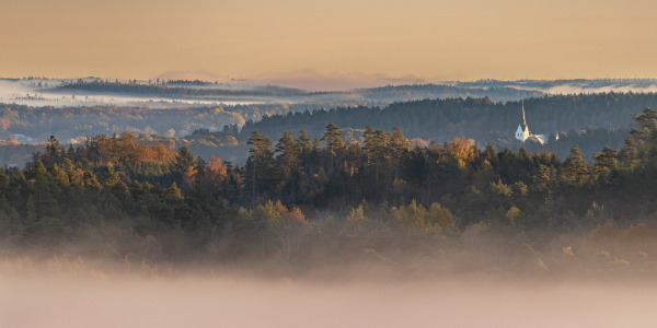 20251018-_87A3904-Edit