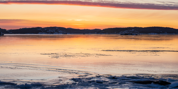 20260218-_87A1649-Pano