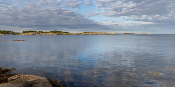 20180606-_MG_7407-HDR