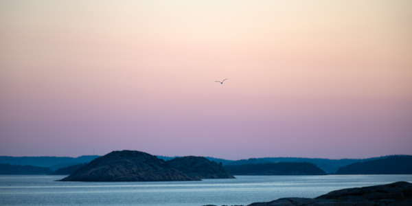 20180727-_62A0605