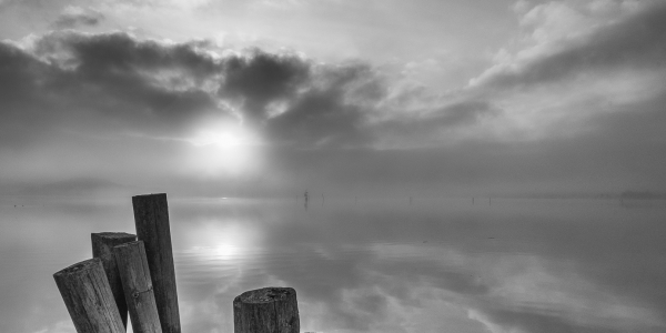 20190711-_MG_9872-Edit
