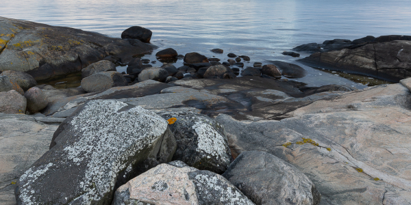 20190716-_MG_9899