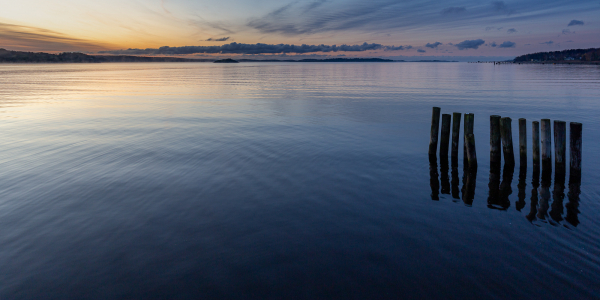 20191031-_MG_0994