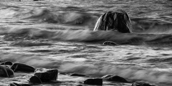 20191129-_L6A8642-Edit