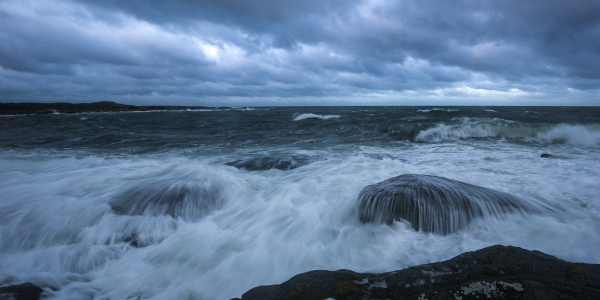 20200730-662A8063