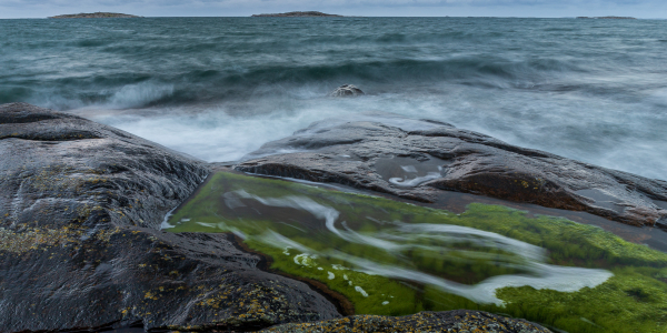 20200823-_MG_5270