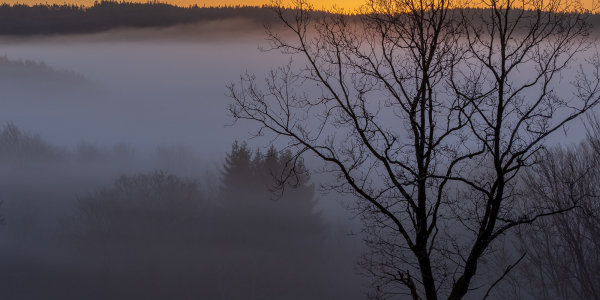 20181228-_MG_9229-HDR