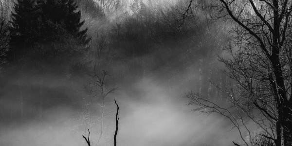 20181228-_MG_9310-Edit-Edit