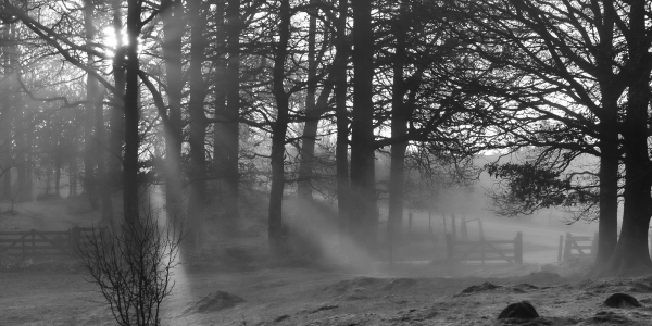 20190112-_62A7335-Edit