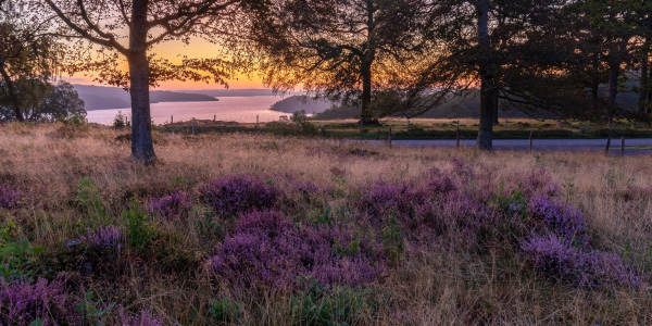 20190825-_MG_0520-HDR