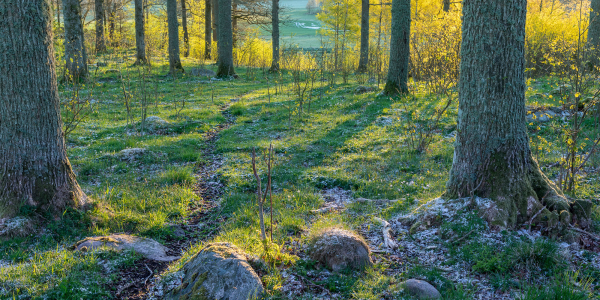 20200513-662A4039-HDR