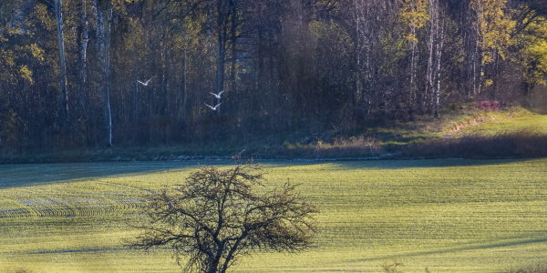 20200513-_L6A9995-Edit